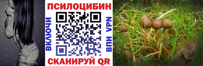 Псилоцибиновые грибы прущие грибы  где купить наркотик  Крым 
